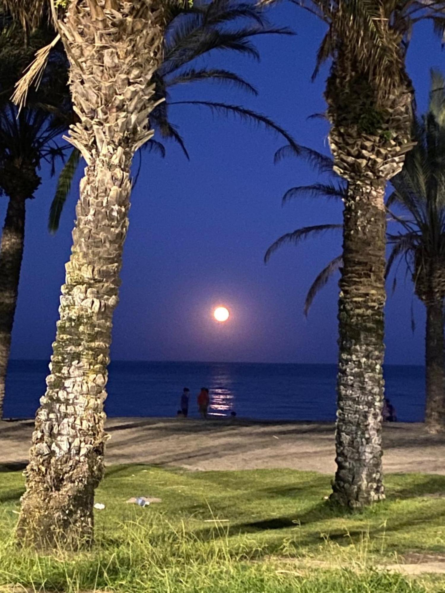 Apartamento Jema El Bajondillo Torremolinos Exteriör bild
